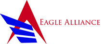 Image:  Eagle Alliance - Flash Technology Group LLC partner